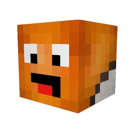 Nemo_LaD Minecraft avatar head, 3D render