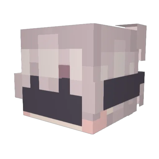 Nemo_Literam Minecraft avatar head, 3D render