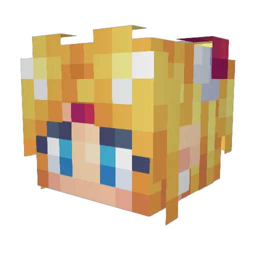 Nemo_Niels Minecraft avatar head, 3D render