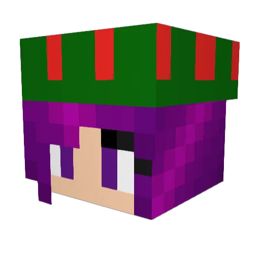 Nemohunter01 Minecraft avatar head, 3D render