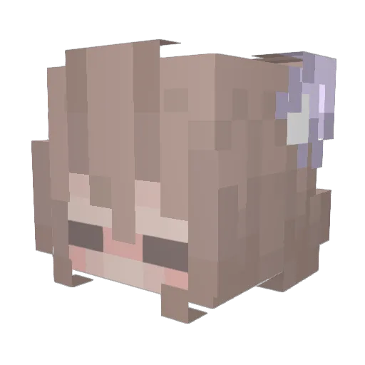 Nemoia Minecraft avatar head, 3D render