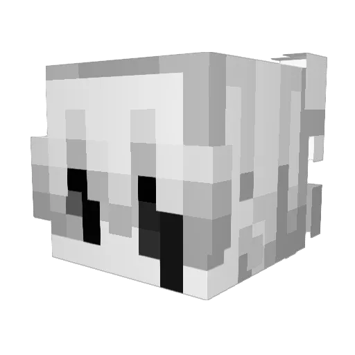 Nemw_ Minecraft avatar head, 3D render