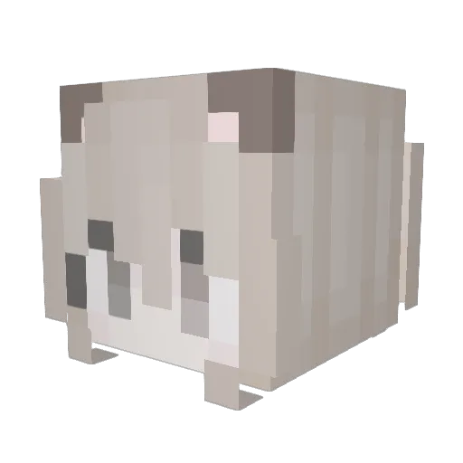 Nena333 Minecraft avatar head, 3D render
