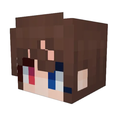 Nename Minecraft avatar head, 3D render