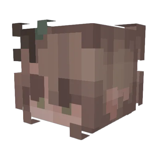 Nendrine Minecraft avatar head, 3D render