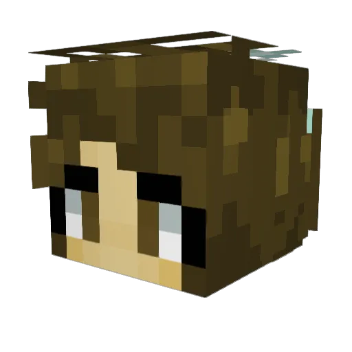 Nenn1e Minecraft avatar head, 3D render