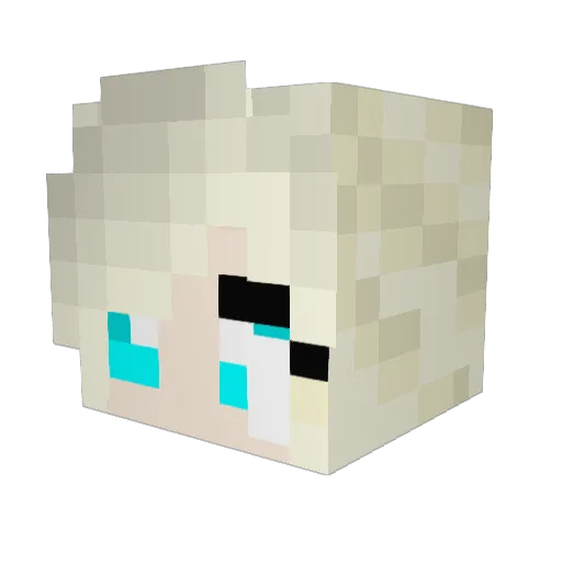 Nennesod Minecraft avatar head, 3D render
