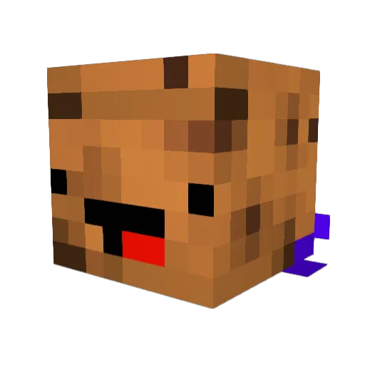 NenntMichSimon Minecraft avatar head, 3D render