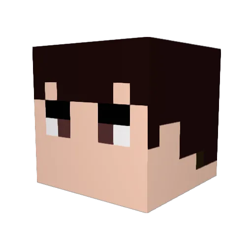 Neo0225 Minecraft avatar head, 3D render