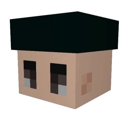NeoDrTm Minecraft avatar head, 3D render