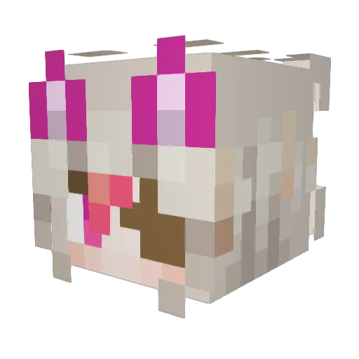 NeoLevora Minecraft avatar head, 3D render