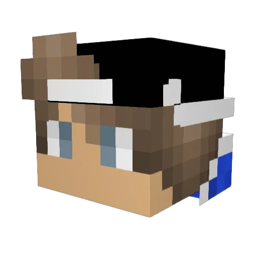 NeoNight1905 Minecraft avatar head, 3D render