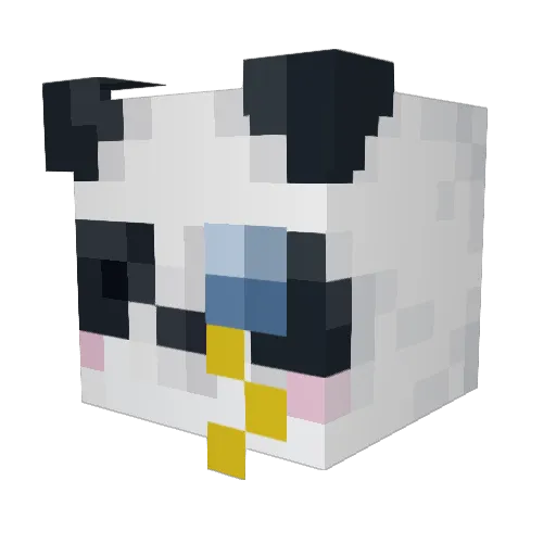 NeoPiece Minecraft avatar head, 3D render