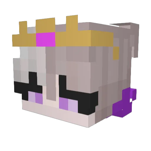 NeoSped Minecraft avatar head, 3D render