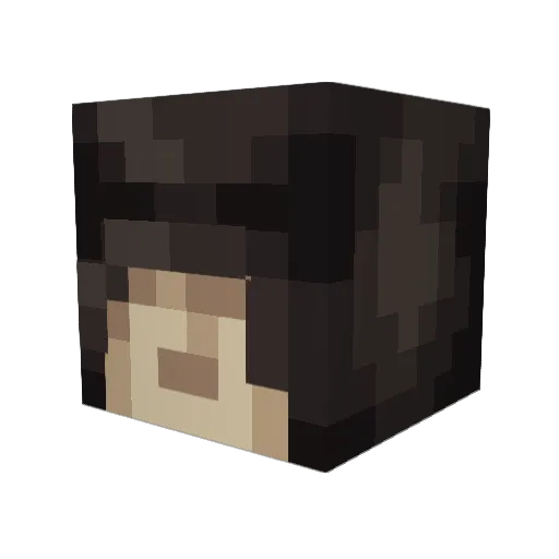 NeoStar83 Minecraft avatar head, 3D render