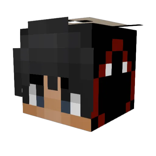 NeoTomas Minecraft avatar head, 3D render