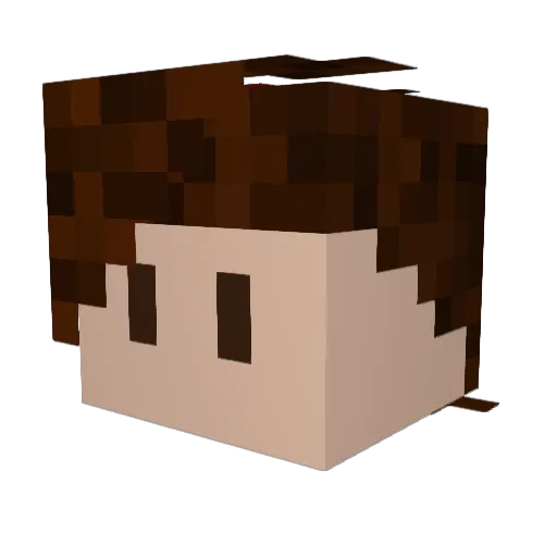 NeoTrxAAAAAAAAAA Minecraft avatar head, 3D render