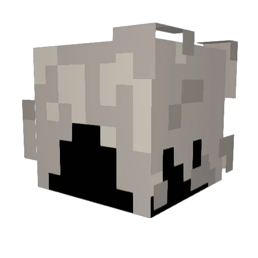 NeoZetaX Minecraft avatar head, 3D render