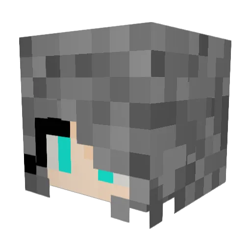 Neo_225 Minecraft avatar head, 3D render
