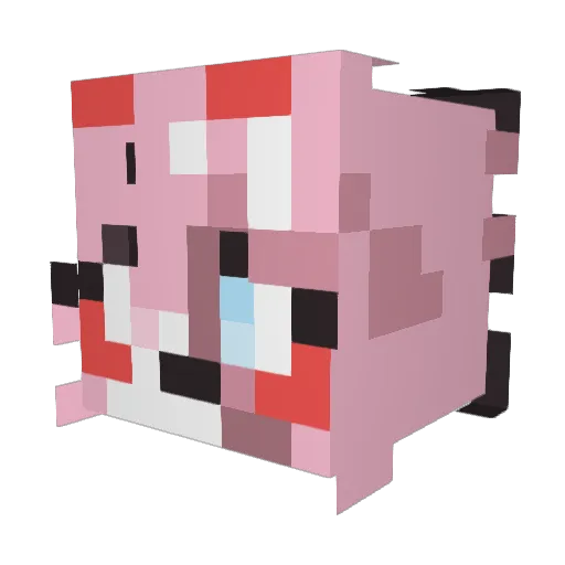 Neo_858 Minecraft avatar head, 3D render