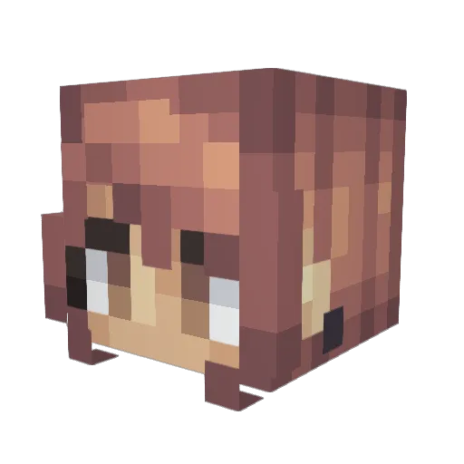 Neo_Of_DodgeBall Minecraft avatar head, 3D render