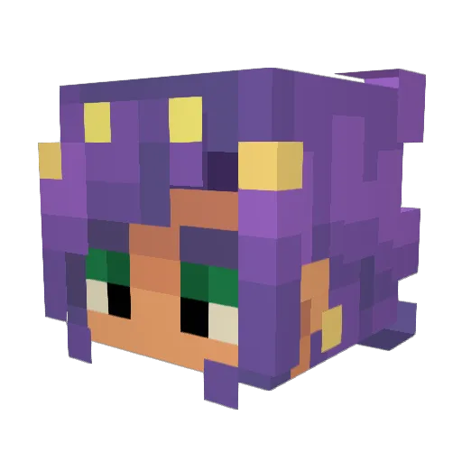 Neo_the_Rat Minecraft avatar head, 3D render