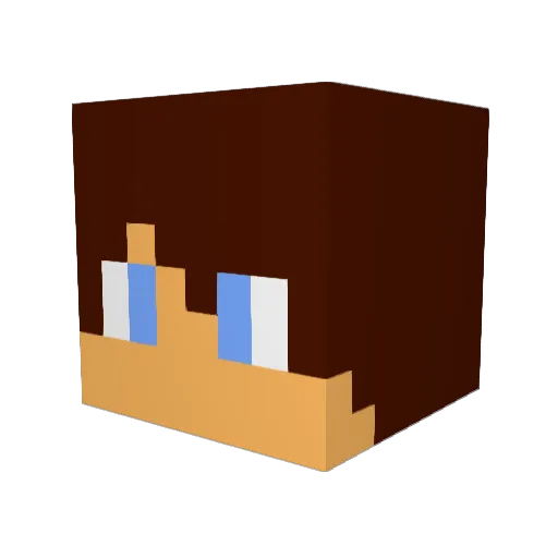 Neoconite Minecraft avatar head, 3D render