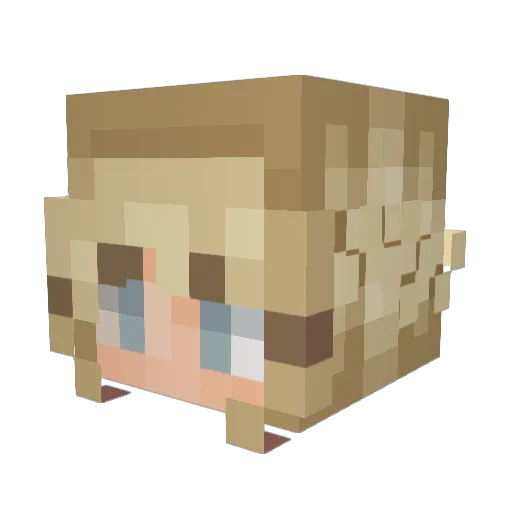 Neoma_ Minecraft avatar head, 3D render