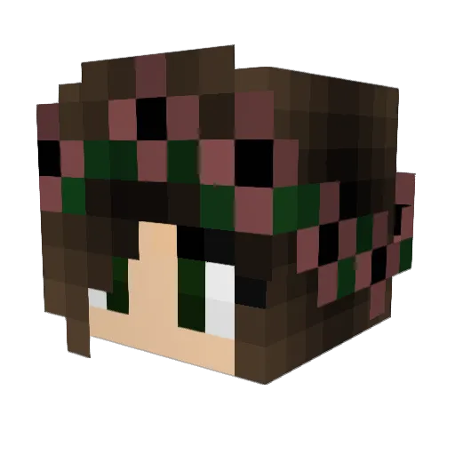 Neomhan Minecraft avatar head, 3D render