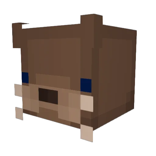 NeonEnderman6143 Minecraft avatar head, 3D render