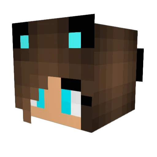 NeonFluff Minecraft avatar head, 3D render