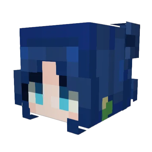 NeonFox4999 Minecraft avatar head, 3D render
