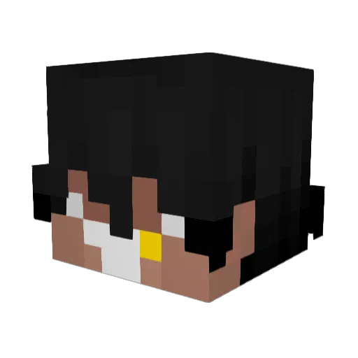 Minecraft-Avatar von NeonIsHere: Kopf als 3D-Render