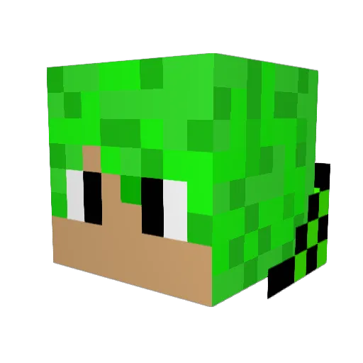 NeonRangerX Minecraft avatar head, 3D render