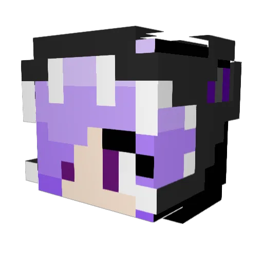 NeonSkies95 Minecraft avatar head, 3D render
