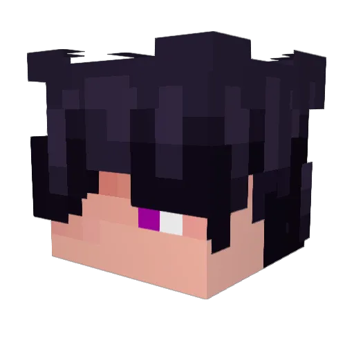 NeonTonight Minecraft avatar head, 3D render