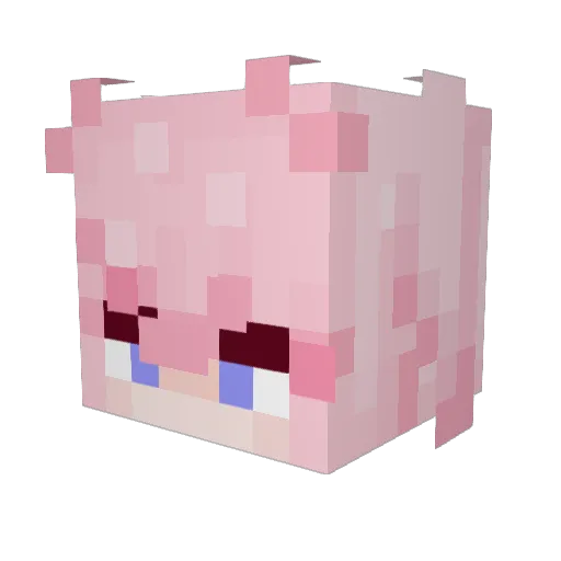 Neon_Cat_123 Minecraft avatar head, 3D render