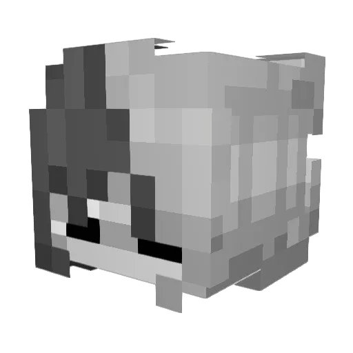 Neon_Fish20 Minecraft avatar head, 3D render