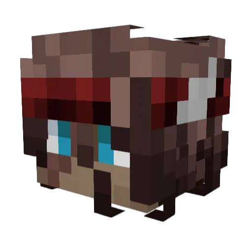 Neon_Z29 Minecraft avatar head, 3D render