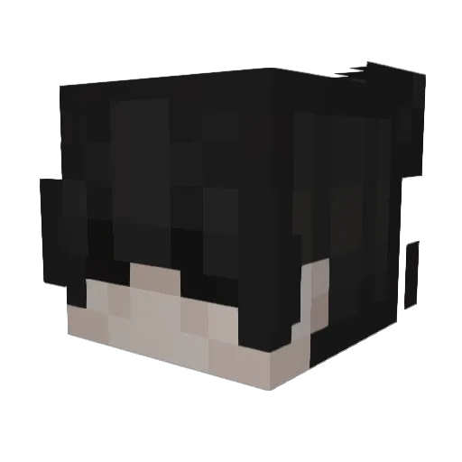 Neonhollow Minecraft avatar head, 3D render