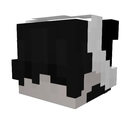 NeopaulitanShake Minecraft avatar head, 3D render