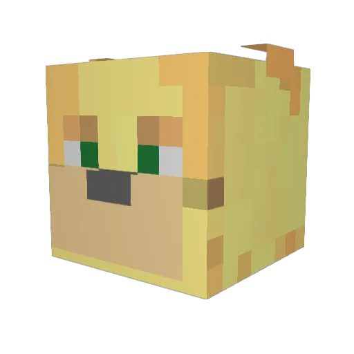 Neoraff Minecraft avatar head, 3D render