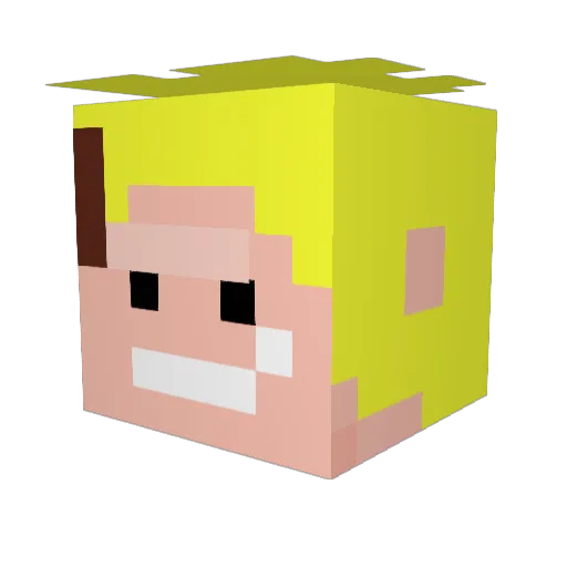 NeosTwo Minecraft avatar head, 3D render