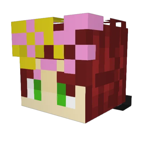 Neos_Kyle Minecraft avatar head, 3D render