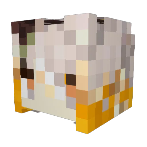 Neotangel Minecraft avatar head, 3D render