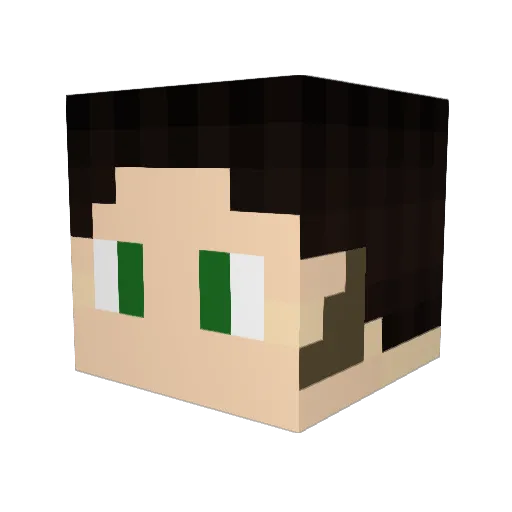 Neotempus10 Minecraft avatar head, 3D render