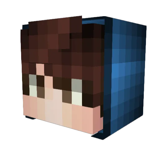 Nep02 Minecraft avatar head, 3D render
