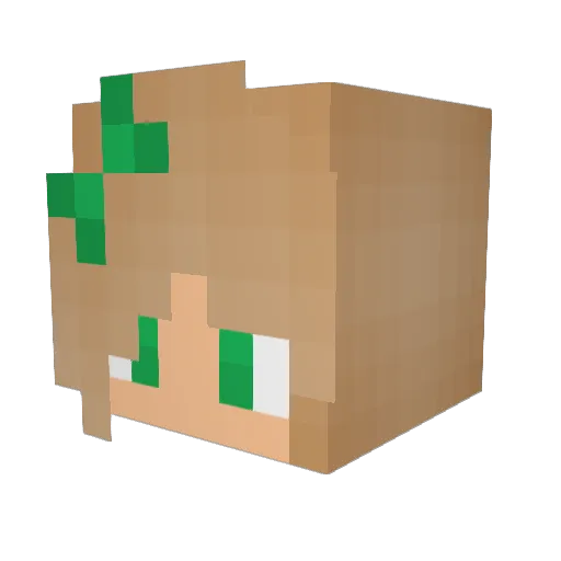 Nep_Nep_TheNep Minecraft avatar head, 3D render