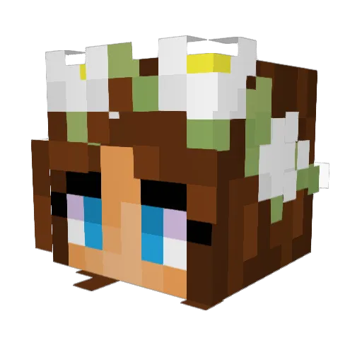 Nepaton Minecraft avatar head, 3D render