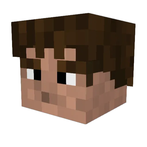 Nepatrop Minecraft avatar head, 3D render